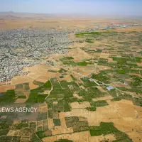 فرش سبز زمین