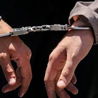 دستگیری قاچاقچی کبک در دهگلان/۲۰ قطعه کبک در خودرو کشف شد