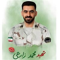 برنامه‌های استقبال و تشییع شهید مدافع امنیت در بوشهر اعلام شد