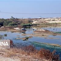 شهروندان عالیشهر بوشهر از نبود خدمات زیرساختی مناسب رنج می‌برند