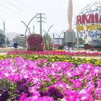 برگزاری جشنواره گل‌ها در بوستان گؤللر باغی ارومیه