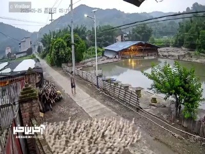 لحظه‌ای جالب از هجوم هزاران اردک برای آبتنی در برکه ای در فوجیان