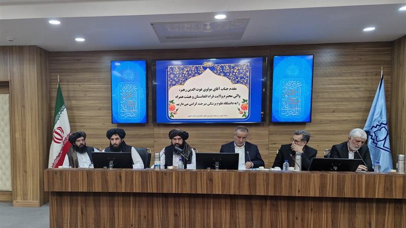 خراسان جنوبی آماده ارائه خدمات درمانی به بیماران افغانستانی است