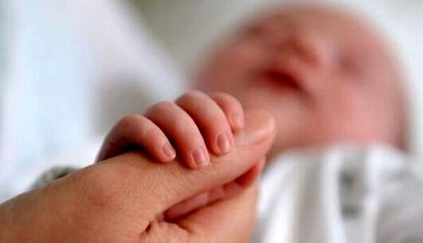 اهدای زندگی دوباره به ۴۸ جنین در مرکز «نفس» رفسنجان