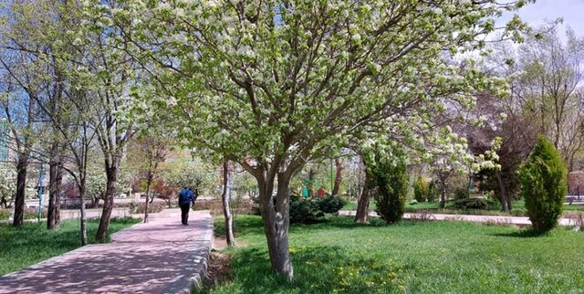 پیشبینی پایان هفته خنک برای همدان