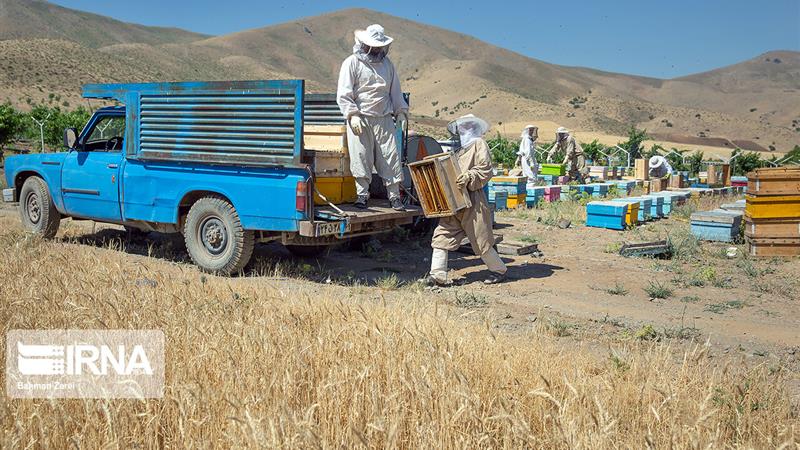 معاون استاندار: ۲۸ طرح درآمدزا برای دهیاریهای کرمانشاه تصویب شد