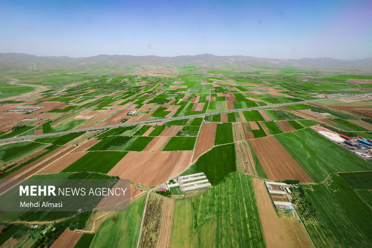  فرش سبز زمین