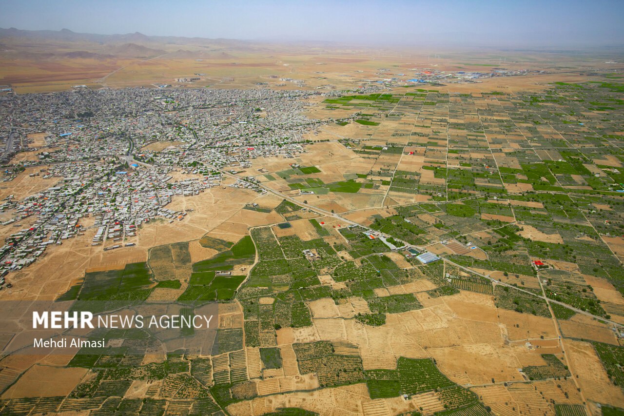  فرش سبز زمین