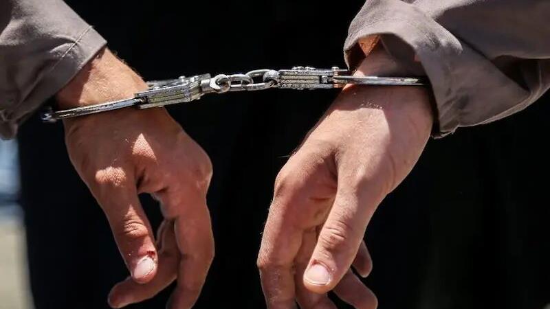 دستگیری قاچاقچی کبک در دهگلان؛ ۲۰ قطعه کبک در خودرو کشف شد