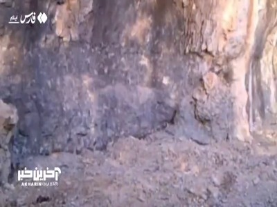 مشاهدهٔ پلنگ ایرانی در دره‌شهر