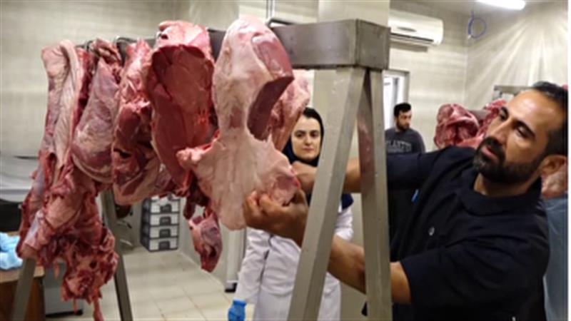 کمیته امداد کردستان آماده دریافت و توزیع نذورات عید قربان