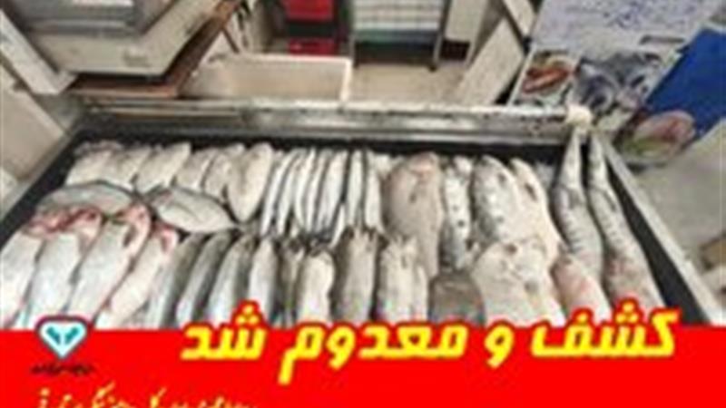 معدوم سازی ۷۰۰ کیلوگرم ماهی فاسد در قم