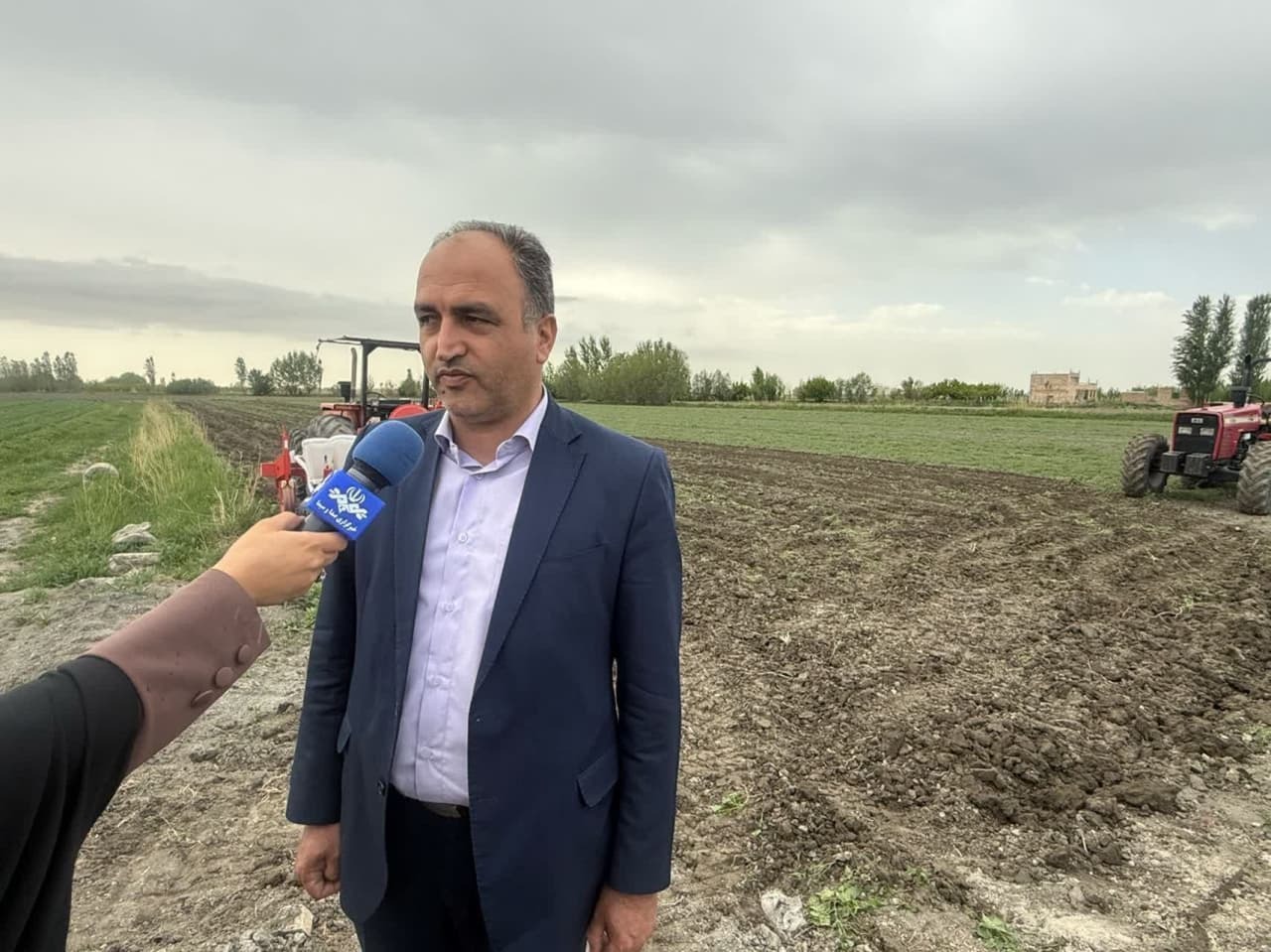 کشت بیش از 73 هزار هکتار حبوبات در دیم زار‌های آذربایجان غربی