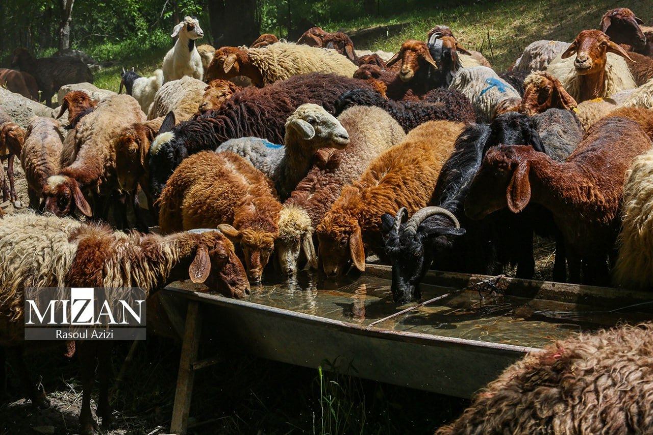در دل طبیعتِ روستای گردشگری سینی 