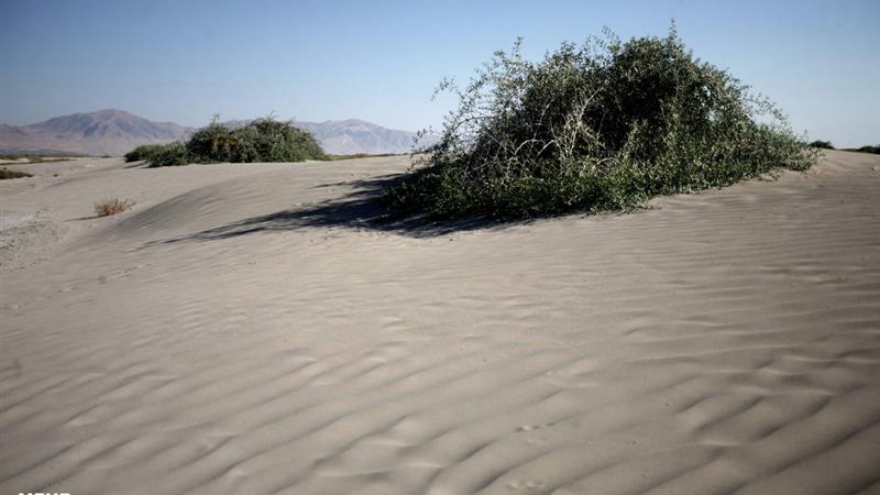 126 هزار هکتار کانون بحرانی در آران و بیدگل؛ اعتبارات مقابله صفر است