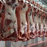 قیمت انواع گوشت گوساله و گوسفندی تنظیم‌بازار و آزاد در تهران اعلام شد