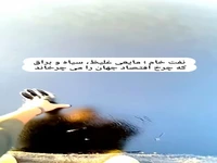 تا حالا نفت خام رو از نزدیک دیده بودید!