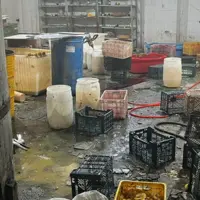 پلمب کارگاه ترشک و لواشک غیرمجاز در بروجرد