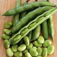 باقالی هارو اینجوری تازه نگه دار!