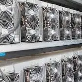 استخراج ارز دیجیتال در مزرعه پرورش شترمرغ و کارخانه‌های راکد گرمسار!