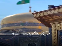یا ضامن آهو، ما رو هم ضامن شو...
