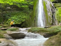جنگل زیبای نجارده در نوشهر