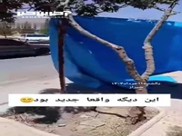 شیوه جدید و عجیب دزدی از یک مغازه در شیراز