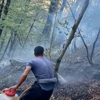 آتش‌سوزی گسترده در پارک ملی گلستان؛ ۳۰۰ هکتار در آتش سوخت