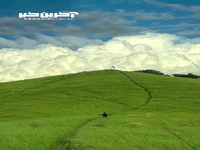 منظره دشت سرسبز و زیبا