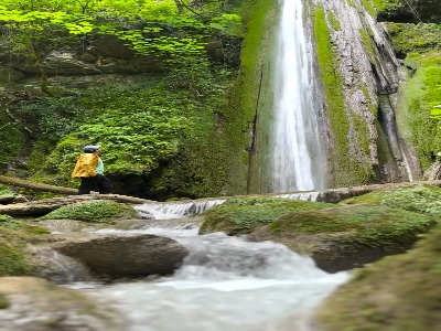 جنگل زیبای نجارده در نوشهر