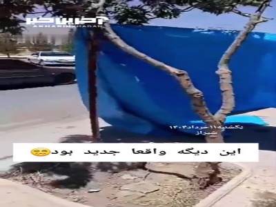 شیوه جدید و عجیب دزدی از یک مغازه در شیراز