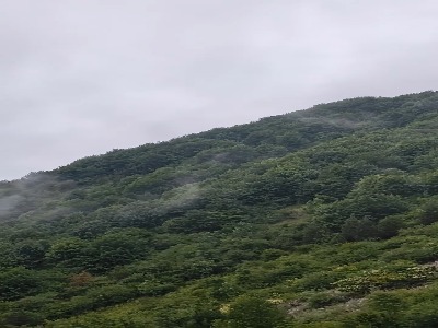 جنگل های دو هزار در شهسوار مازندران