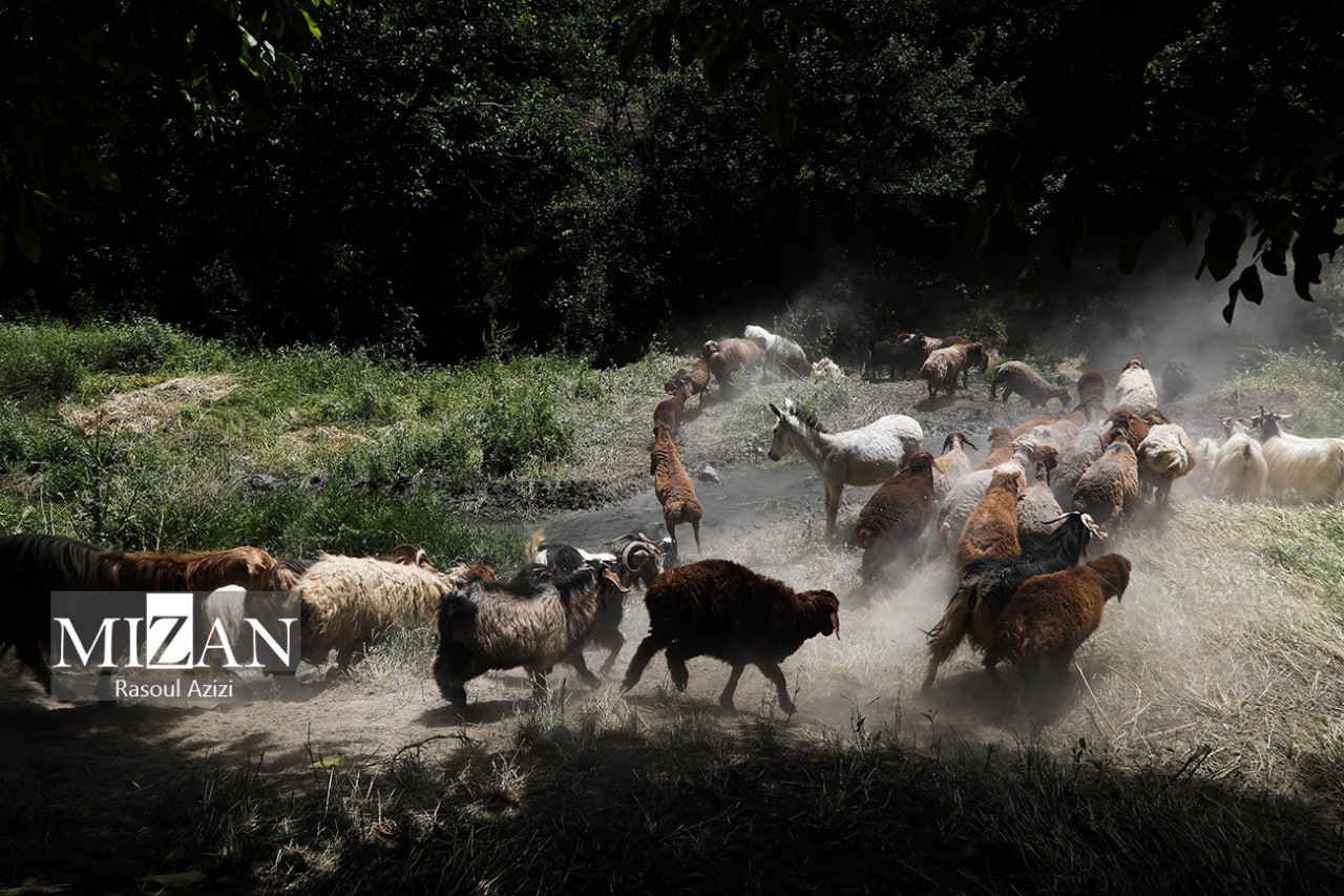در دل طبیعتِ روستای گردشگری سینی 