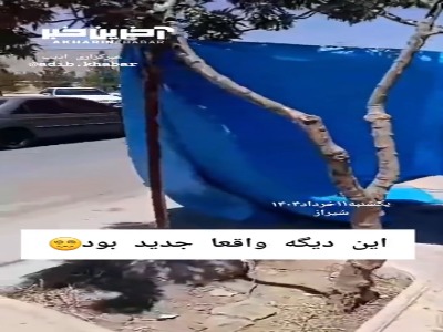 شیوه جدید و عجیب دزدی از یک مغازه 