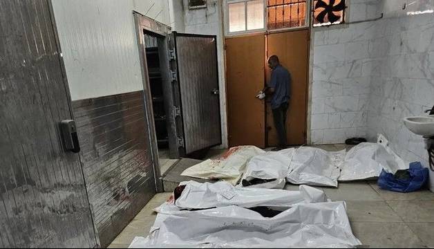 شهادت و زخمی شدن بیش از ۲۴۸ فلسطینی طی ۲۴ ساعت گذشته