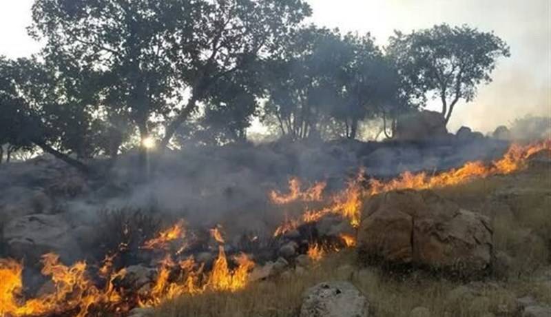 زنگ خطر آتشسوزی در جنگلهای گلستان؛ مسافران بخوانند