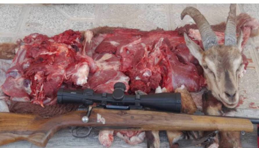 شناسایی متخلفان شکار غیرمجاز در منطقه حفاظت‌شده قیصری چهارمحال و بختیاری