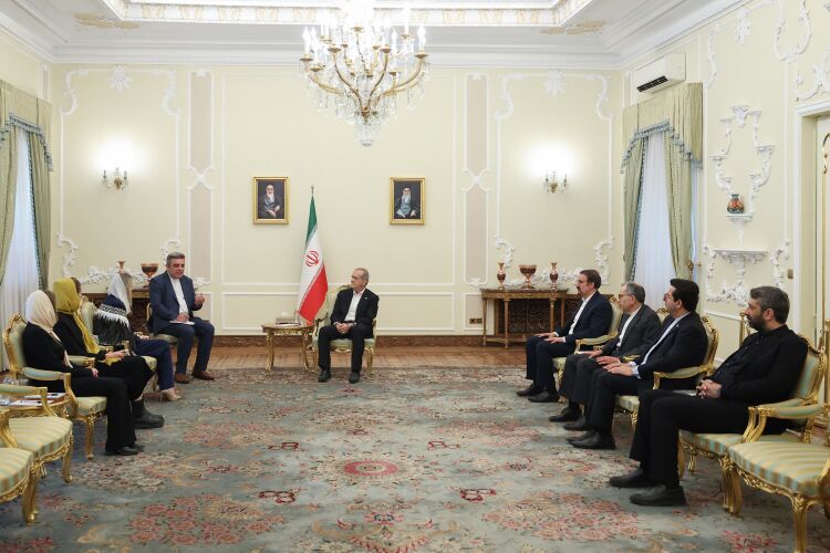 پزشکیان: ایران از مذاکره استقبال کرده و میکند، اما زورگویی در قاعده گفتوگو نمیگنجد