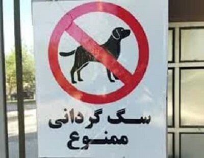 سگگردانی در کرمان هم ممنوع شد