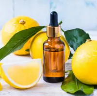 جنگ با پیری زودرس با این میوه معجزه آسا و محبوب ایرانی ها/ خواص درمانی لیمو ترش در سم زدایی از بدن، کاهش وزن و سلامت قلب