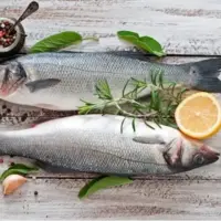 روشی برای گرفتن طبع سرد ماهی