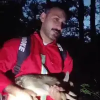 نجات بره مرال از آتش پارک ملی گلستان