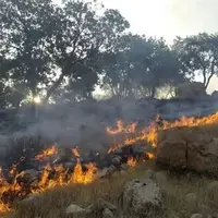 زنگ خطر آتش‌سوزی در جنگل‌های گلستان؛ مسافران بخوانند