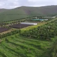 صدور ۱۱ هزار فقره پروانه چرای دام در لرستان