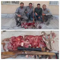 شناسایی متخلفان شکار غیرمجاز در منطقه حفاظت‌شده قیصری چهارمحال و بختیاری