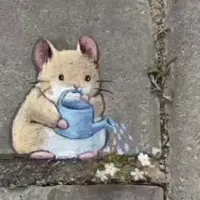 هنر نقاشی خیابانی 