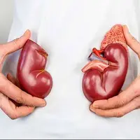 گرمای هوا و کم‌آبی بدن، خطری خاموش برای کلیه ها