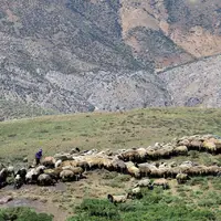 فرآیند ممیزی مراتع لرستان به اتمام رسید