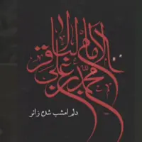 استوری/ دلم امشب شده زائر دخیلم آقا یا حضرت باقر 