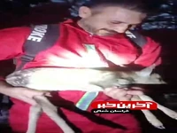 نجات بره مرال از دل آتش در پارک ملی گلستان